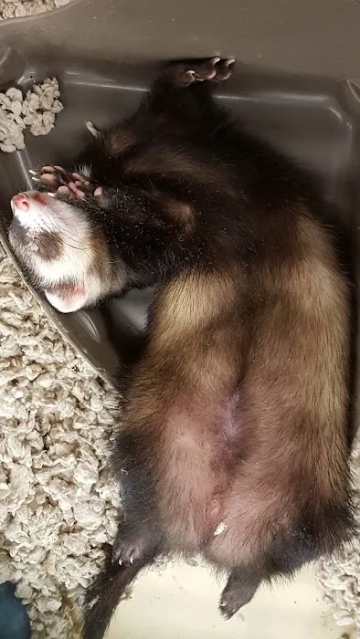 Petco Picture 8