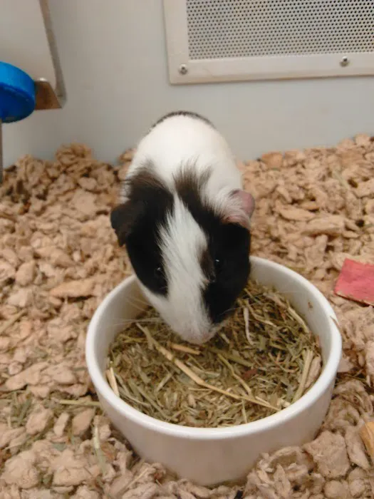 Petco Picture 7