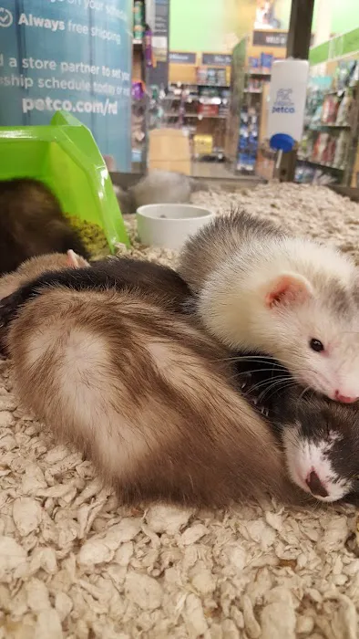 Petco Picture 5