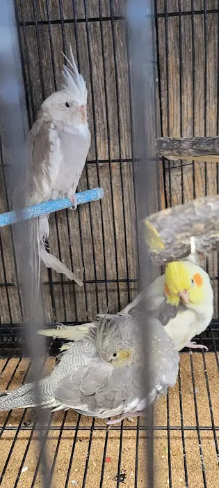 Delta Pet Center LLC Picture 2