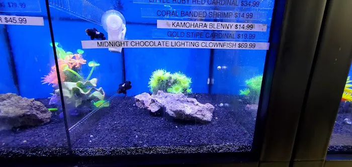 Delta Pet Center LLC Picture 5