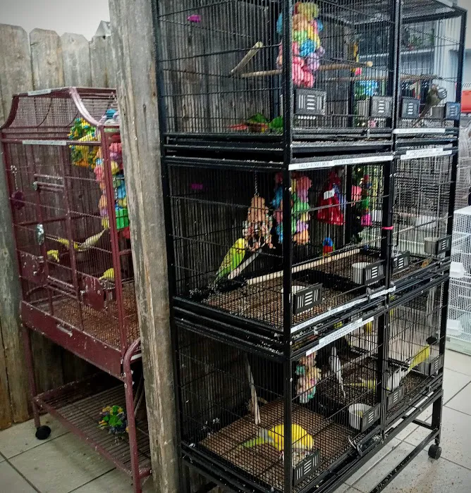 Delta Pet Center LLC Picture 6