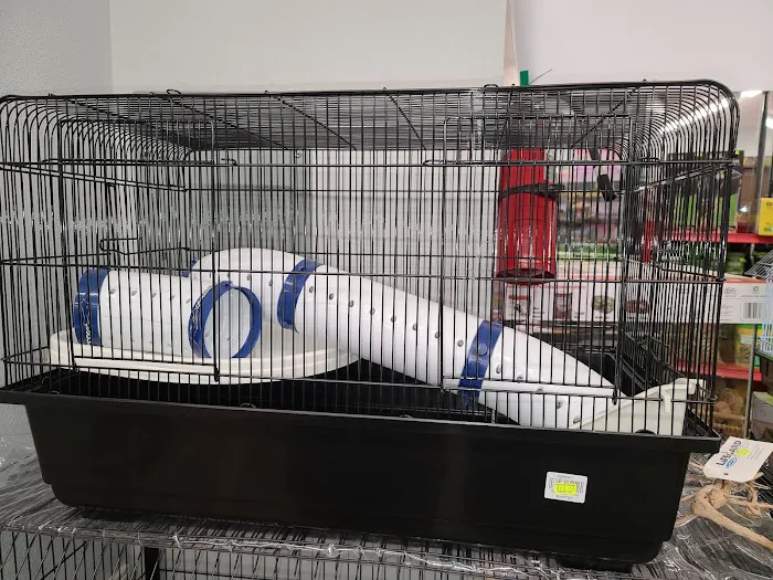 Delta Pet Center LLC Picture 10