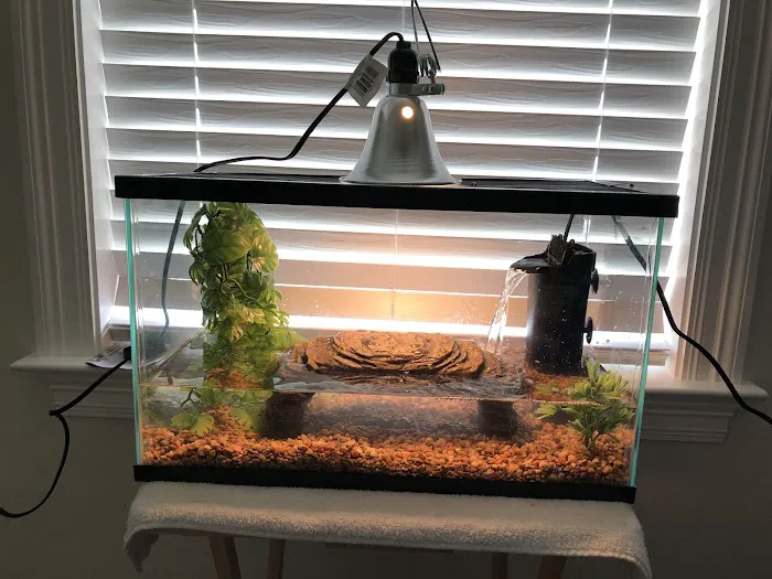 Delta Pet Center LLC Picture 3