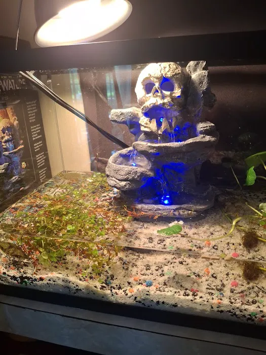 Delta Pet Center LLC Picture 9
