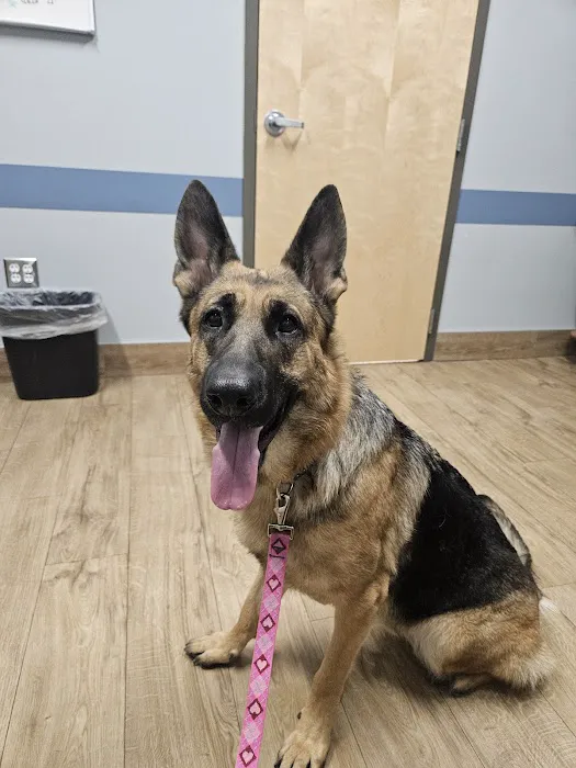 Eastern Pennsylvania Veterinary Medical Center Picture 10