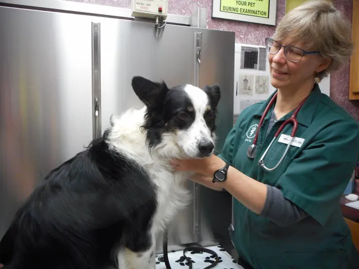 West Valley Animal Hospital Picture 1