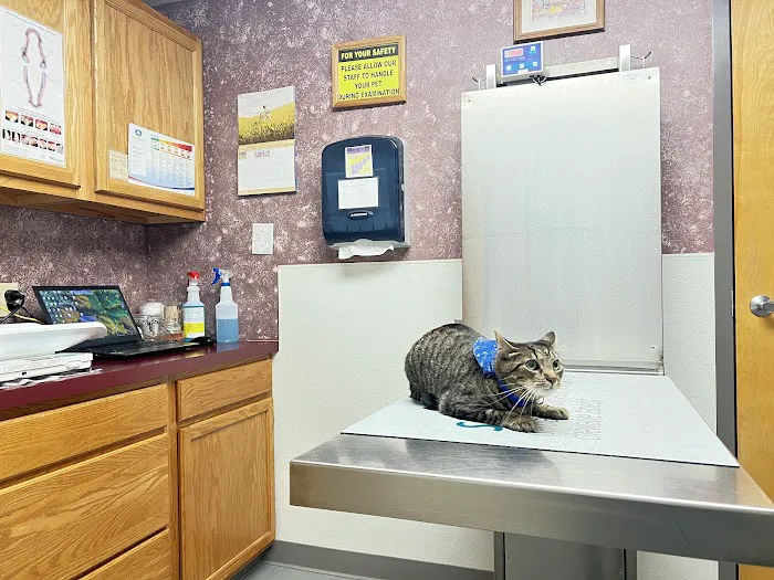 West Valley Animal Hospital Picture 7