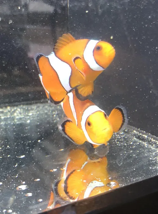 The Aqua-Arium, LLC Picture 1