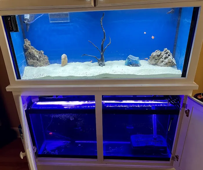 The Aqua-Arium, LLC Picture 4