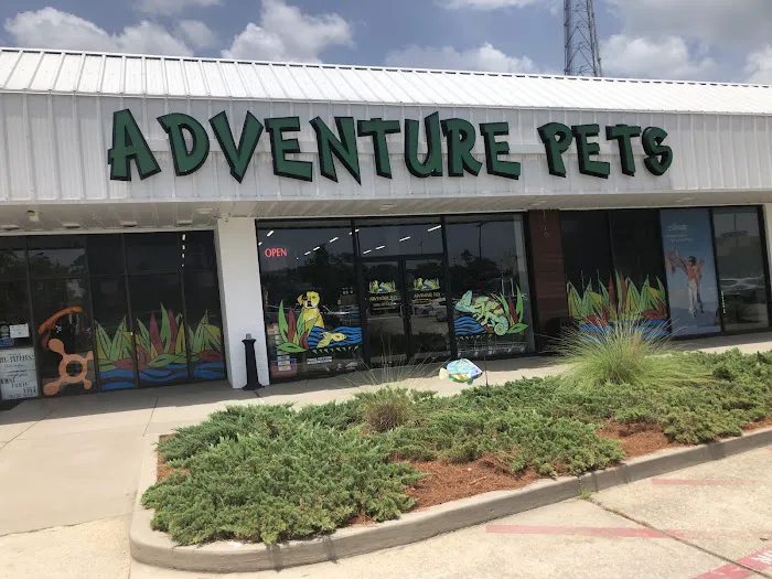 Adventure Pets Picture 4