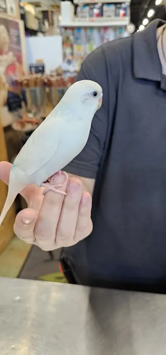 Adventure Pets Picture 6