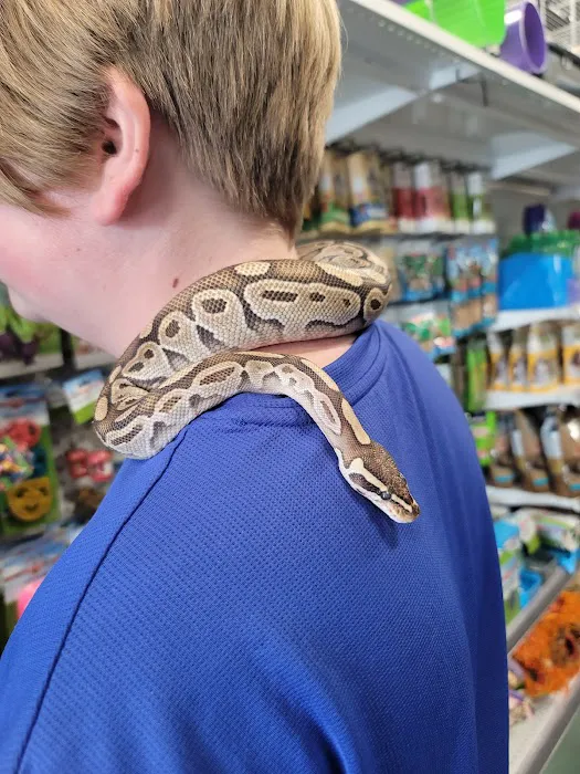 Adventure Pets Picture 9