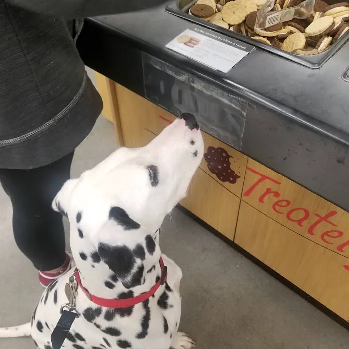 Petco Picture 7