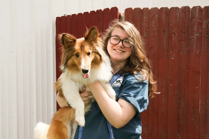 Skippack Animal Hospital Picture 4