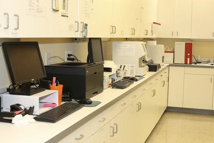 Skippack Animal Hospital Picture 8