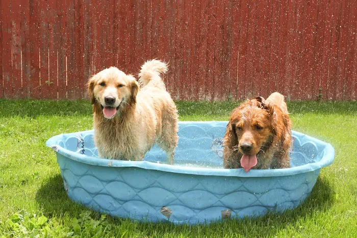 Skippack Animal Hospital Picture 9