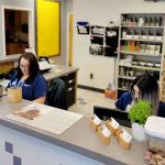VCA Gwynedd Animal Hospital