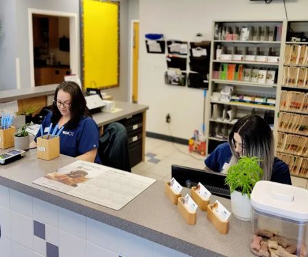 VCA Gwynedd Animal Hospital