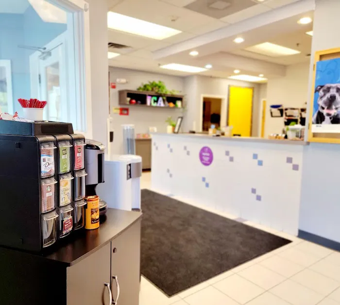 VCA Gwynedd Animal Hospital Picture 9