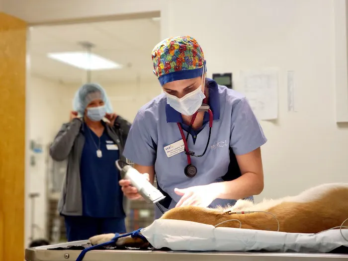 VCA Gwynedd Animal Hospital Picture 10