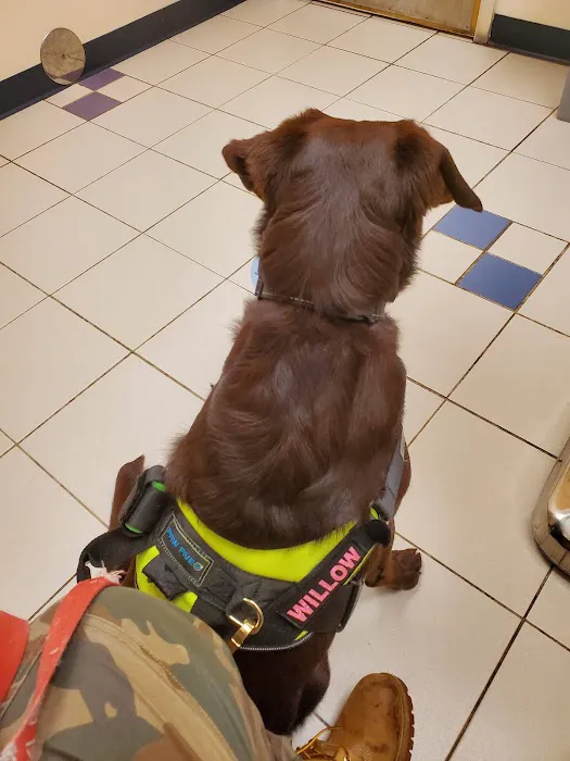 VCA Gwynedd Animal Hospital Picture 4