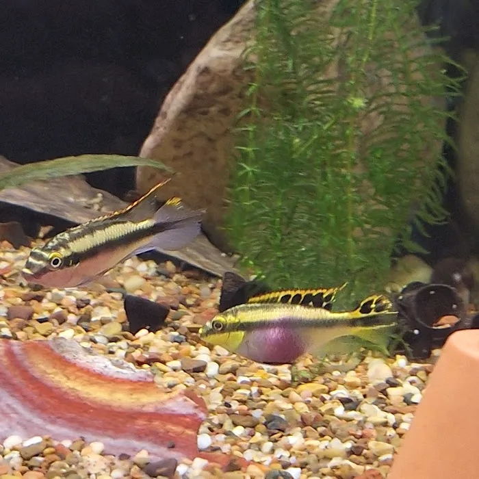 Fins & Friends Picture 6