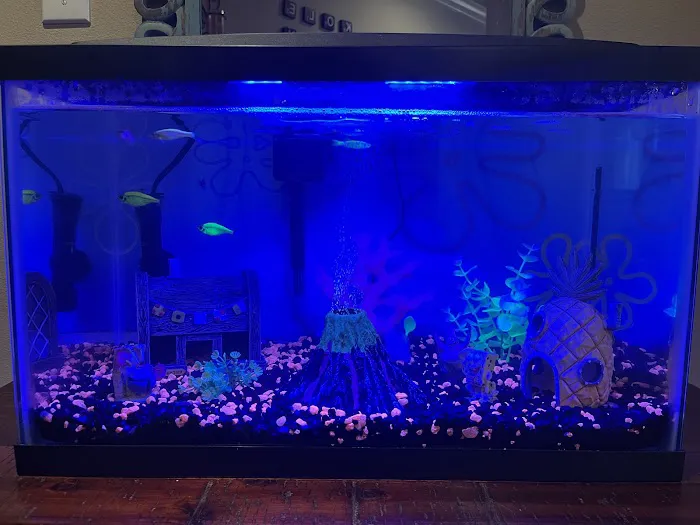 Fins & Friends Picture 1