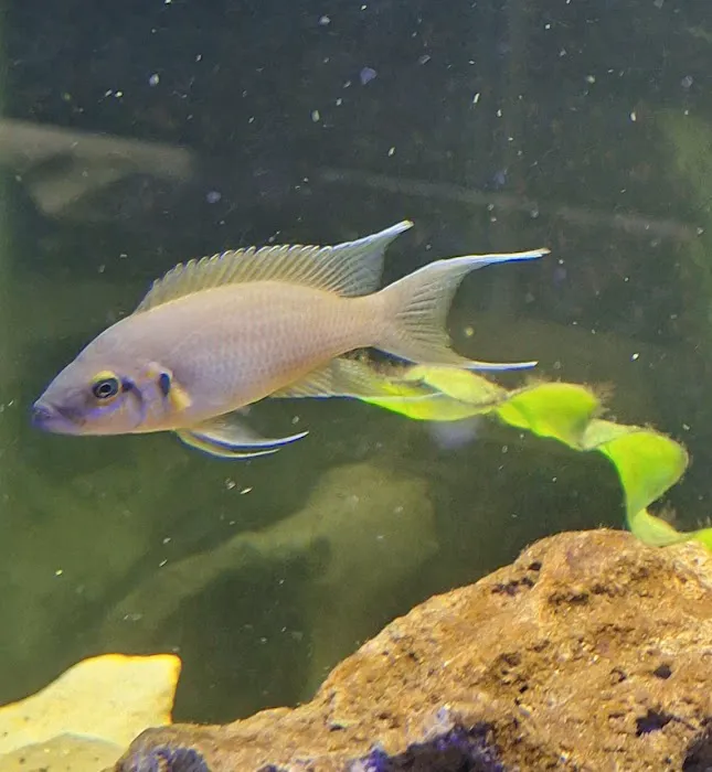 Fins & Friends Picture 10