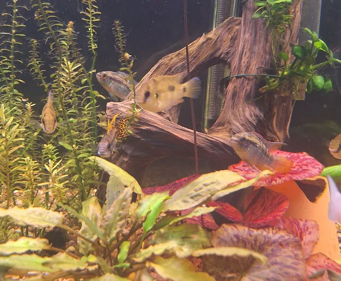 Fins & Friends Picture 3