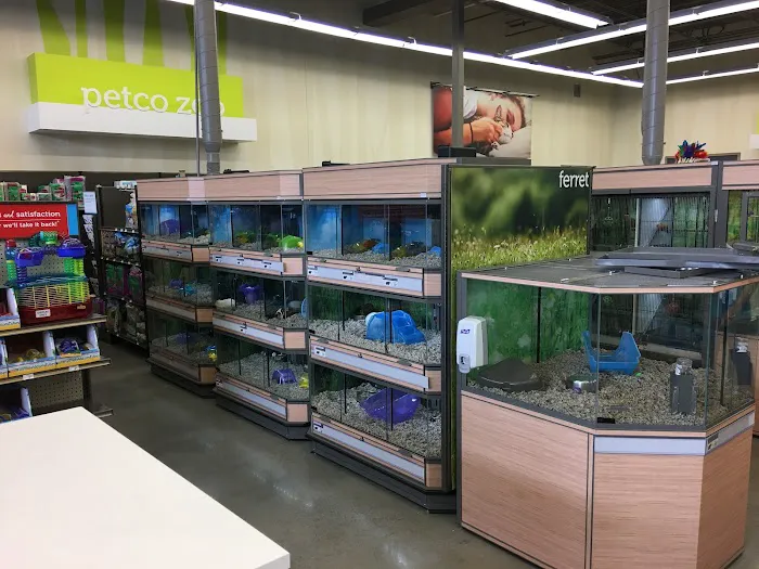 Petco Picture 1