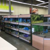 Petco ico