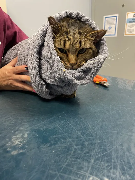 Sand Creek Animal Hospital Picture 8
