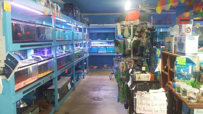 Ken's Tropical Fish Picture 1