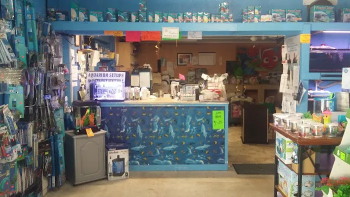 Ken's Tropical Fish Picture 3