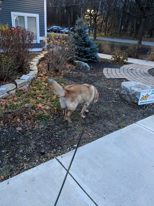 VCA Shaker Animal Hospital Picture 10