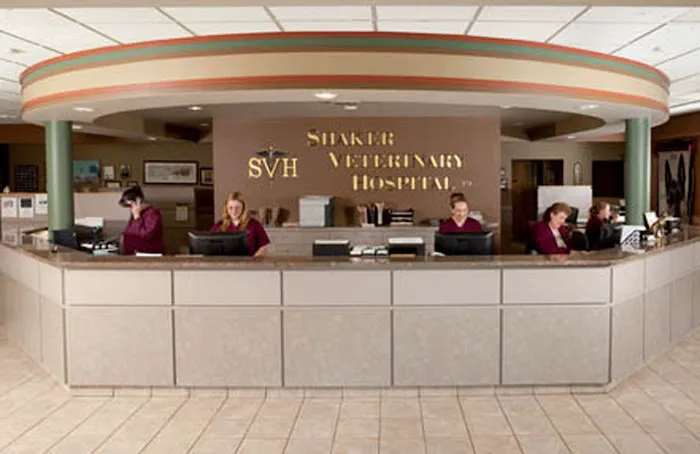 VCA Shaker Animal Hospital Picture 9