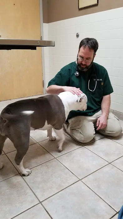 VCA Shaker Animal Hospital Picture 5