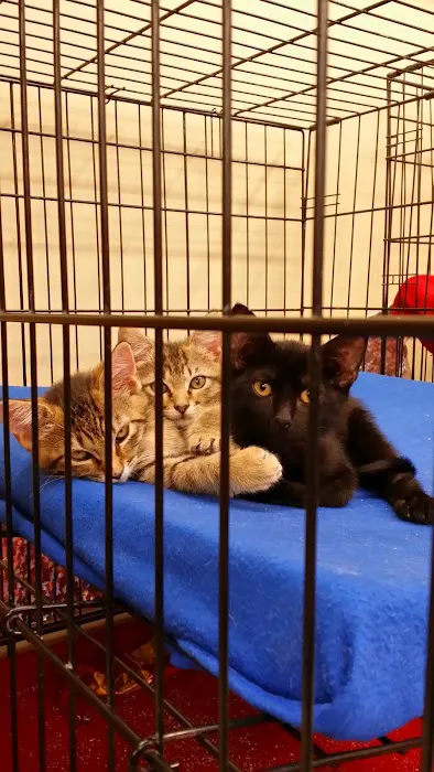Petco Picture 1