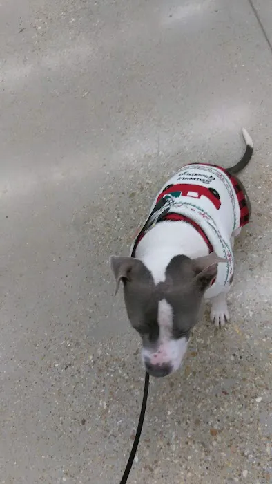 Petco Picture 9