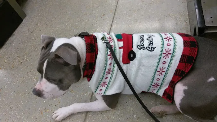 Petco Picture 5