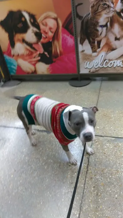 Petco Picture 8