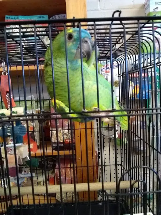 Bayouabird Picture 6