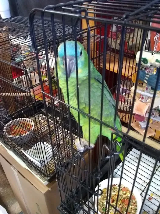 Bayouabird Picture 9