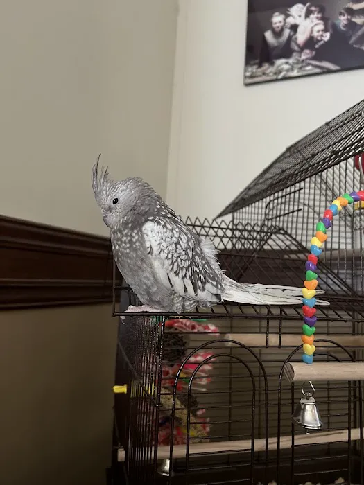 Bayouabird Picture 1