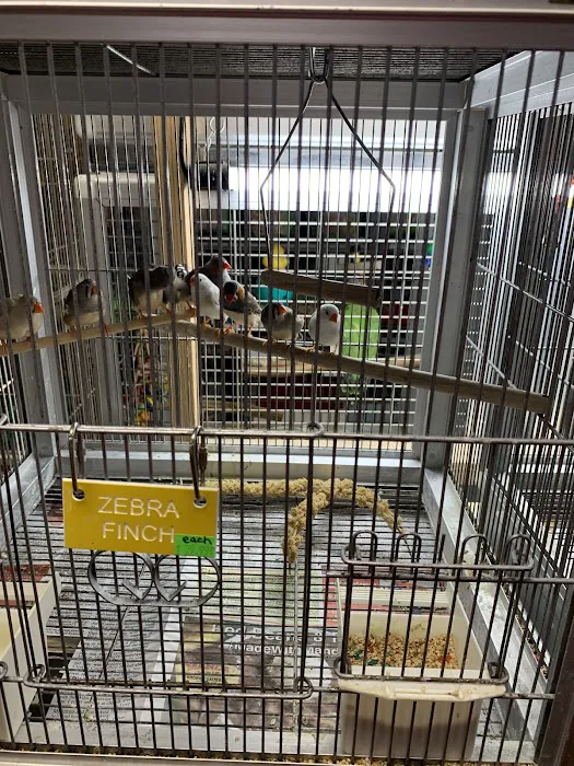 Bayouabird Picture 3