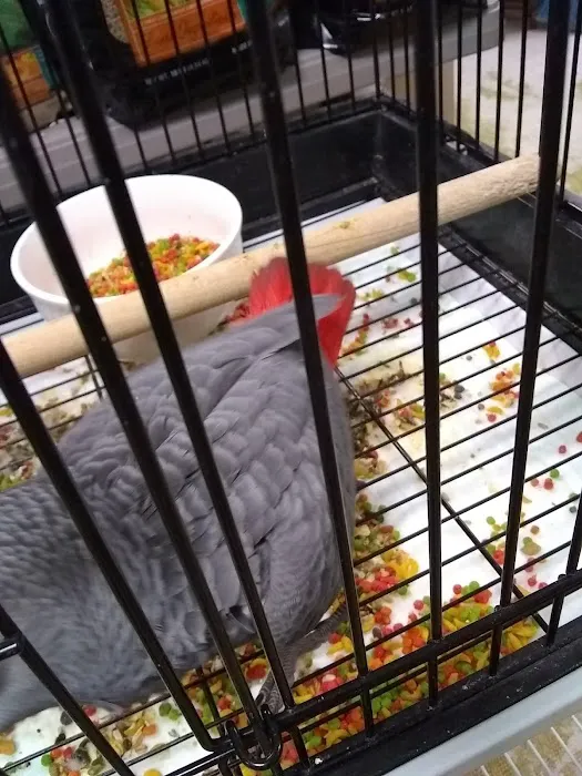 Bayouabird Picture 5