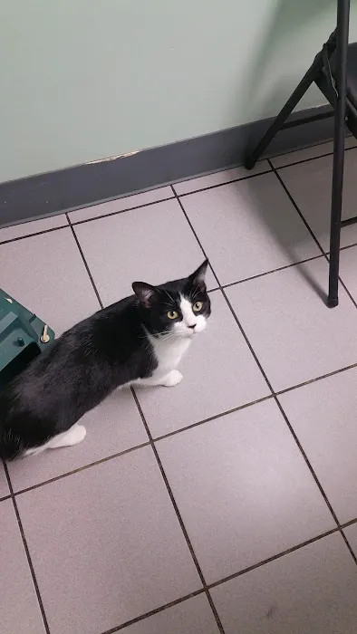 Troy Veterinary Hospital Picture 7
