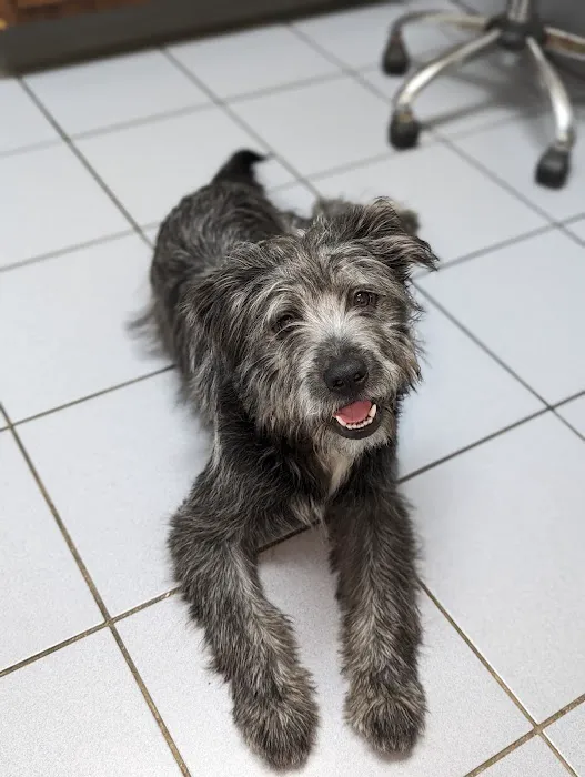 Troy Veterinary Hospital Picture 9