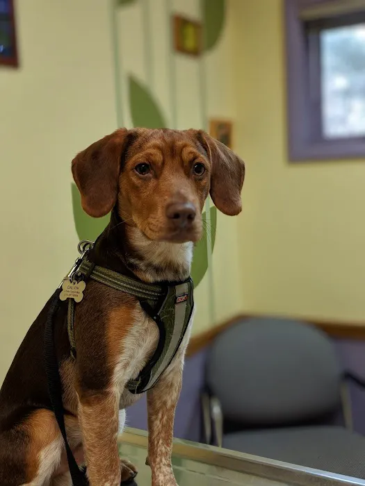 Oakwood Veterinary Clinic Picture 2